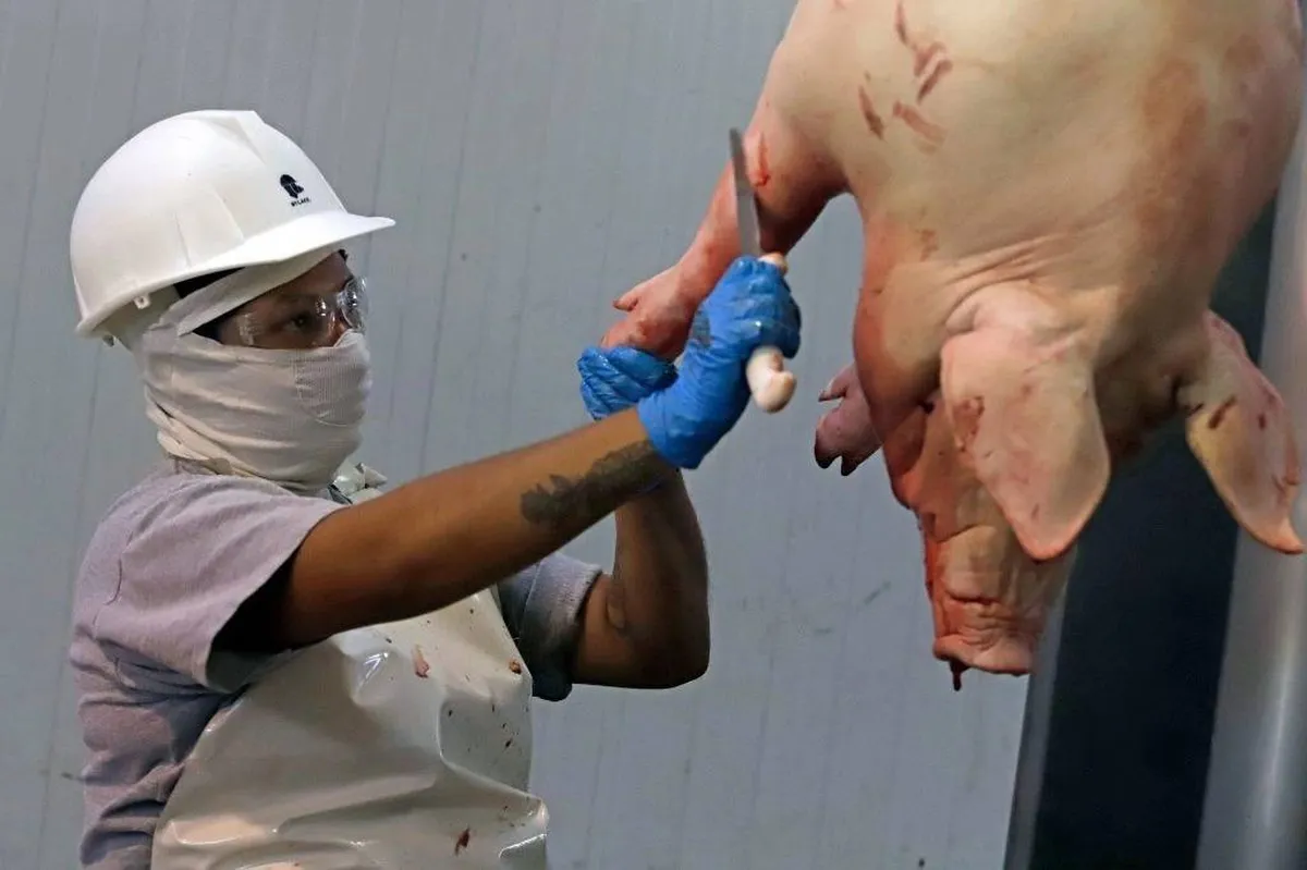 Concluye inspección a rastros del Estado de México