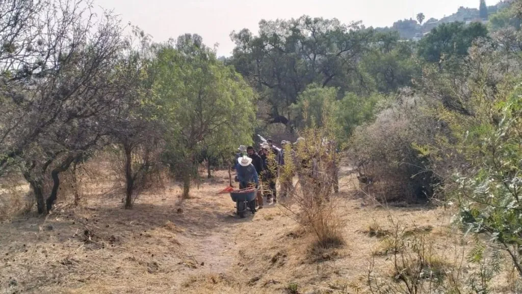 Ambientalistas exigen ser incluidos en la conservación de la Sierra de Guadalupe