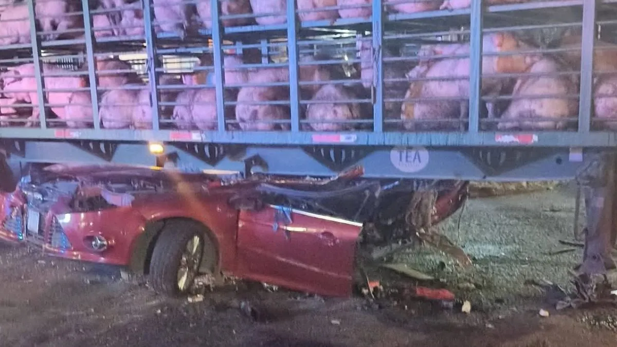 Vehículo queda destrozado tras impactarse con un tráiler en la México–Texcoco [VIDEO]