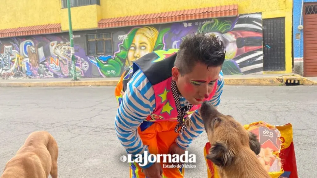 Chabelito, el payaso que ayuda a perros de la calle