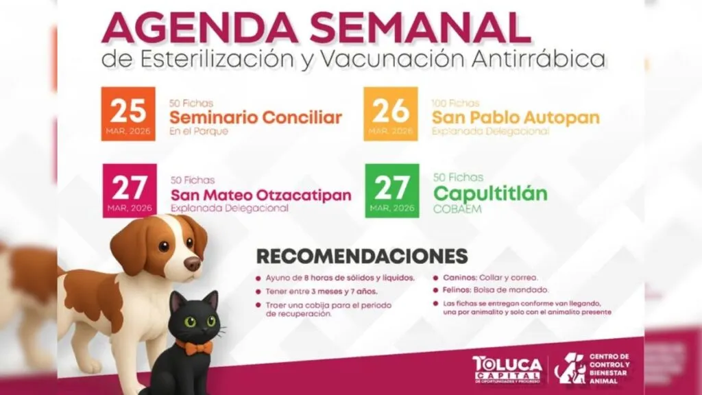 Jornada de esterilización y vacunación en Toluca del 25 al 27 de marzo. Aquí los detalles