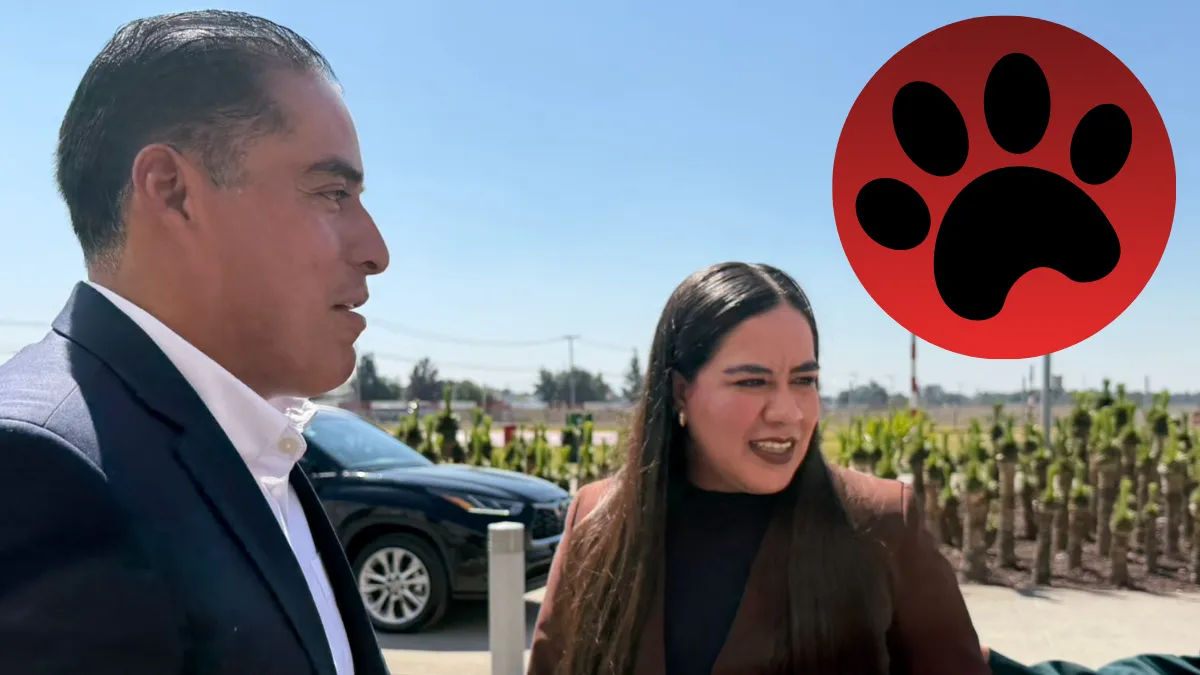 Resguardan 11 perros tras ataque de jauría en Zumpango; tres personas continúan hospitalizadas