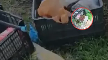 Denuncian influyentismo y mal manejo de heces caninas en parque de Tultepec