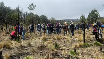 La Jornada Estado de México
