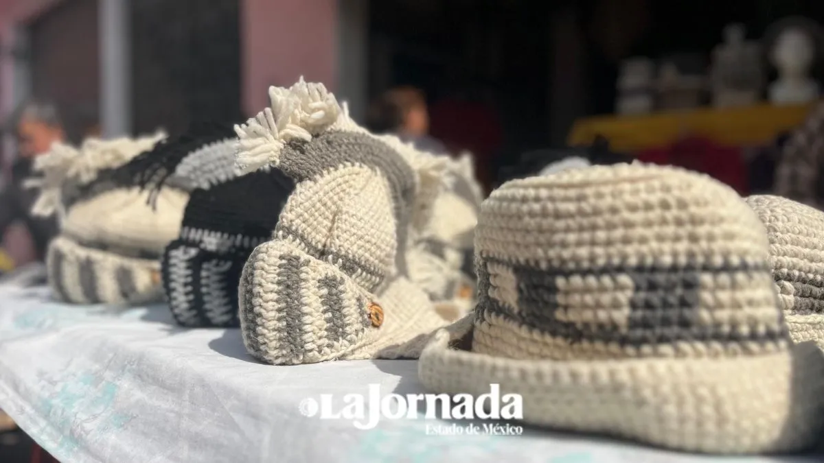 Cambio climático impacta ventas a productores de lana