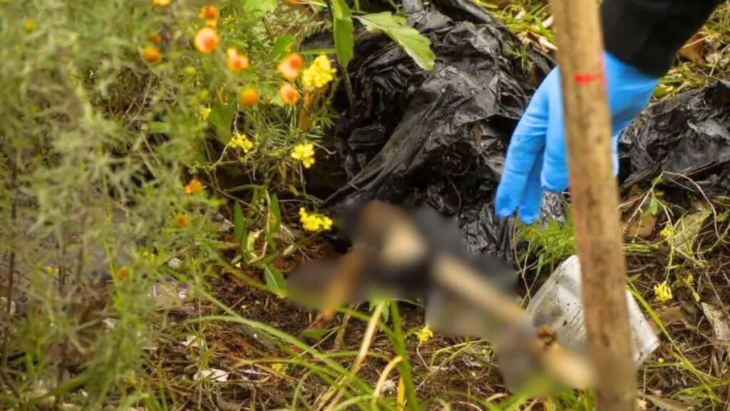 Sierra de Guadalupe: Localizan 10 restos humanos en primera semana de búsqueda