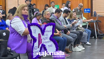 Edomex con poco avance en Alerta de Género por feminicidio: Observatorio Ciudadano