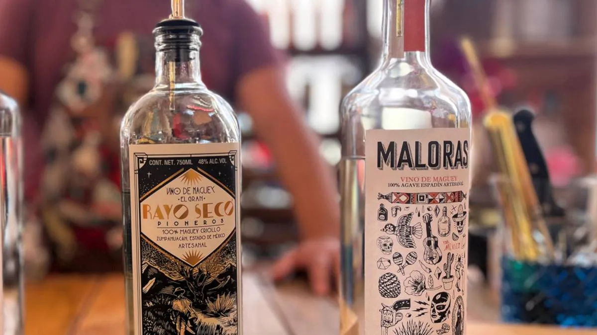 Denominación de origen del Mezcal redefine procesos de los productos