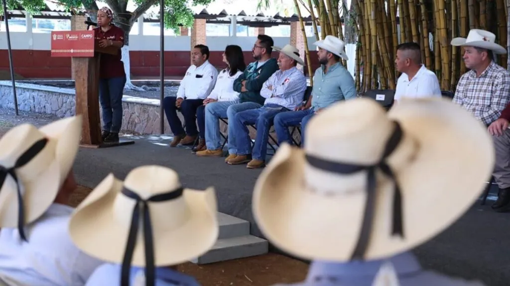 GEM instala trampas contra gusano barrenador en el sur