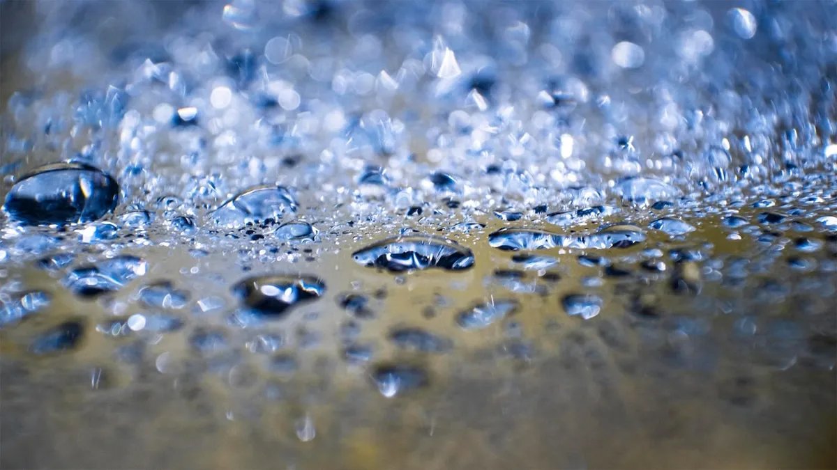 Agua de lluvia, una alternativa sustentable para combatir la escasez