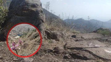 Protección urgente para la Sierra de Guadalupe: Max Correa