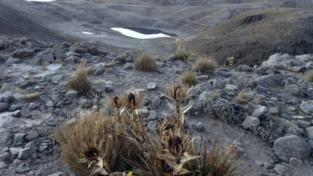 Visitantes foráneos lamentan restricciones para visitar el Nevado de Toluca