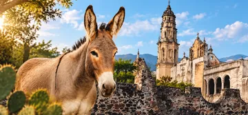 Otumba Pueblo Mágico: INAH alista paseo histórico sobre los burros este 20 de septiembre