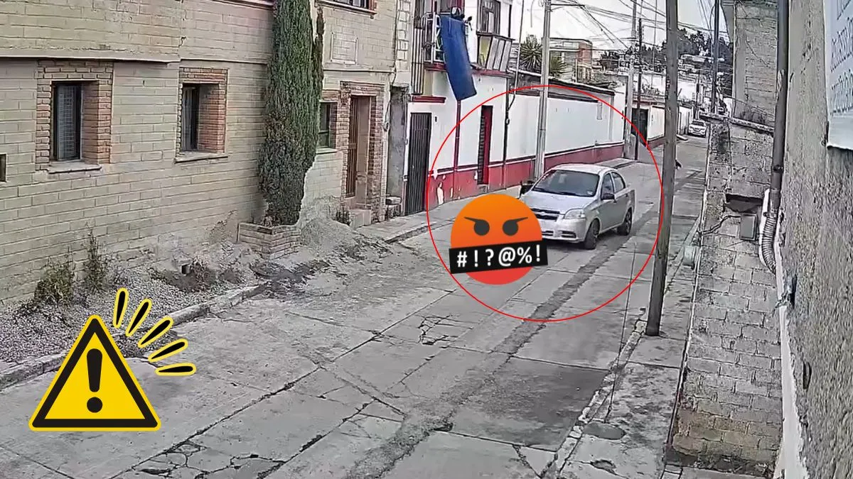 Sujeto atropella a perrito y se da a la fuga en Chapultepec, Edomex; todo quedó en VIDEO