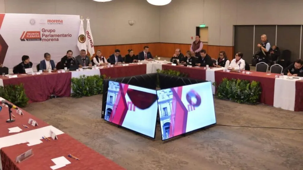 Morena celebra plenaria y acuerda temas prioritarios en salud, seres sintientes y programas sociales