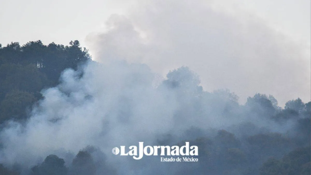 Incendios en Edomex ocupan 70% de la superficie forestal: Probosque