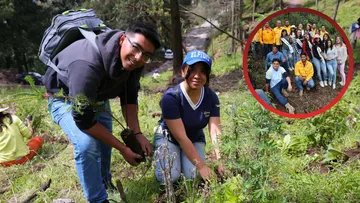 Huixquilucan supera los 15 mil árboles plantados