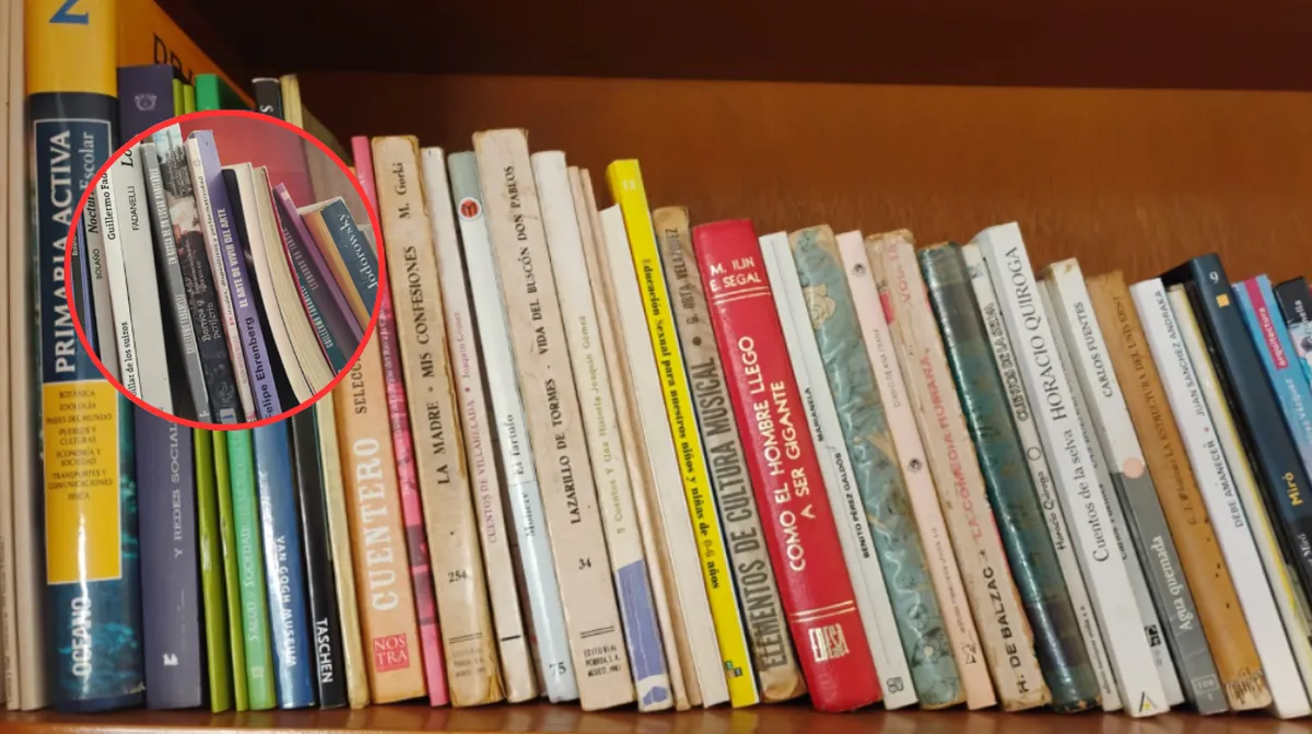 Más que un hábito: La lectura como herramienta de autonomía y pensamiento complejo en 2026