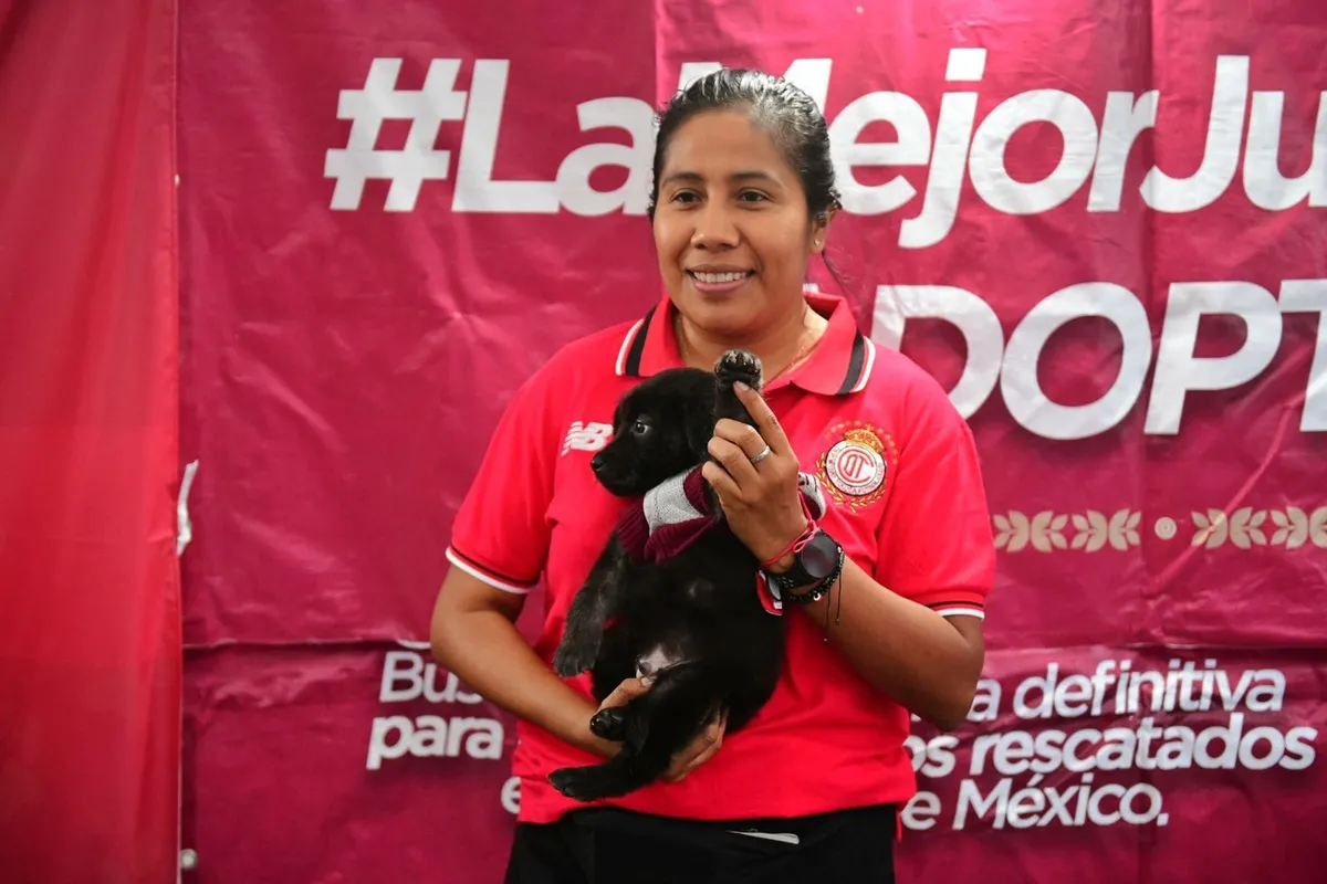 ¡Ganadores! 85 perritos conquistan un hogar con “La Mejor Jugada es Adoptar”