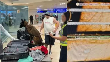 Pasajero es detenido por traficar cocaína en el Aeropuerto de Cancún