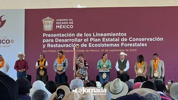 Delfina Gómez va por la plantación de 60 millones de árboles y quiere un futuro verde