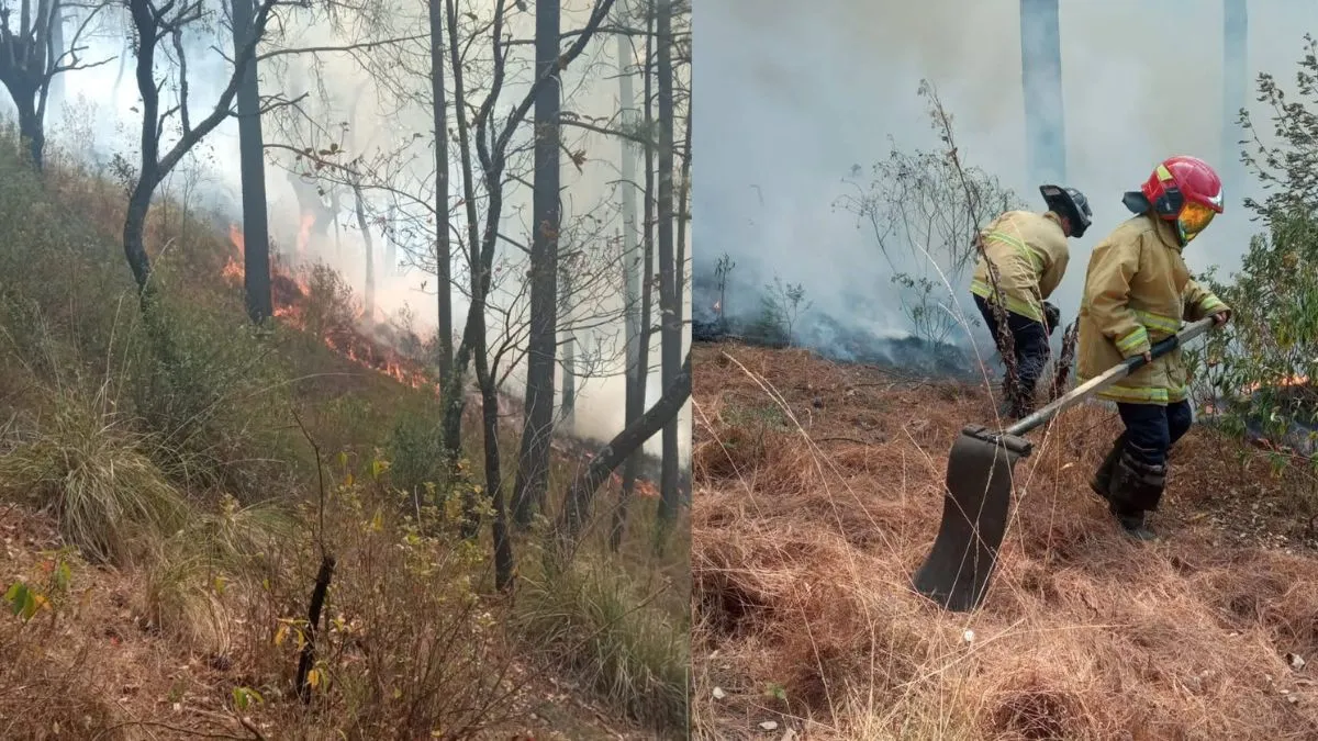 Altas temperaturas y nula educación ambiental provocan incendios forestales: De la Cruz Zetina