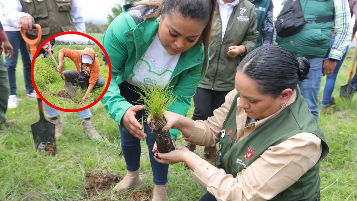 Restauración forestal arranca en Zona oriente del Edomex
