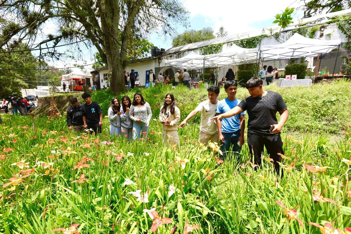 UAEMéx celebra el Tercer Festival de las Tigridias en Tenancingo