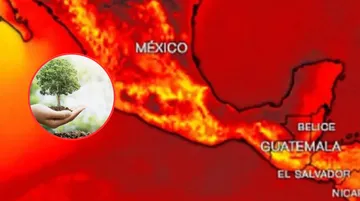 ¿Cuántos árboles hay en Toluca? Presentan Atlas Digital para combatir islas de calor
