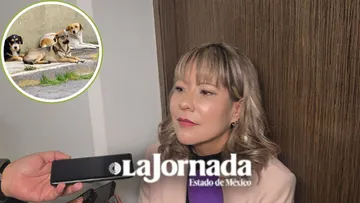 CEPANAF operará registro de agresores de animales; reporta el rescate de más de mil ejemplares