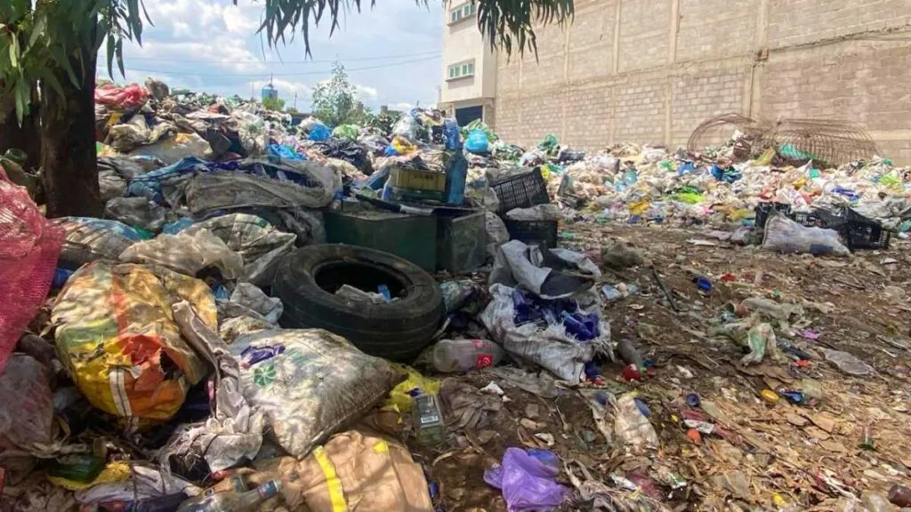 Chicoloapan prepara multas por tirar agua, dejar basura y heces caninas en la calle