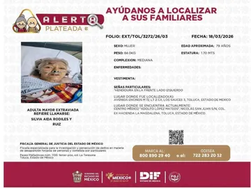 Vecinos de Sauces claman ayuda para la profesora Silvia: Adulta mayor en abandono busca refugio digno en Toluca