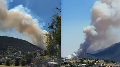 Cerro de la Verónica se incendia