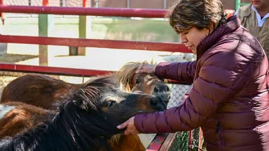 El Zoológico cuenta con más de 50 años de historia, la Mandataria estatal destacó la importancia de preservar y fortalecer este sitio.