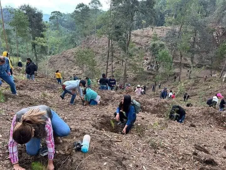 Xonacatlán: Habitantes hacen un llamado para reforestar Mimiapan
