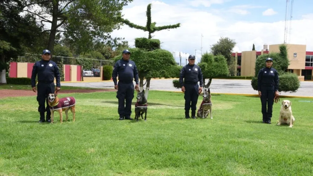 Caninos de la SSEM cumplen su servicio y son trasladados a Almoloya de Juárez para su jubilación