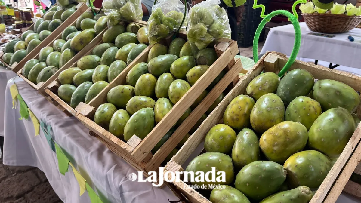 Feria de la Tuna pretende atraer a 25 mil visitantes