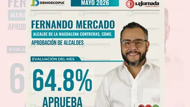 ráfico estadístico de la aprobación del alcalde Fernando Mercado en La Magdalena Contreras correspondiente a mayo de 2026.