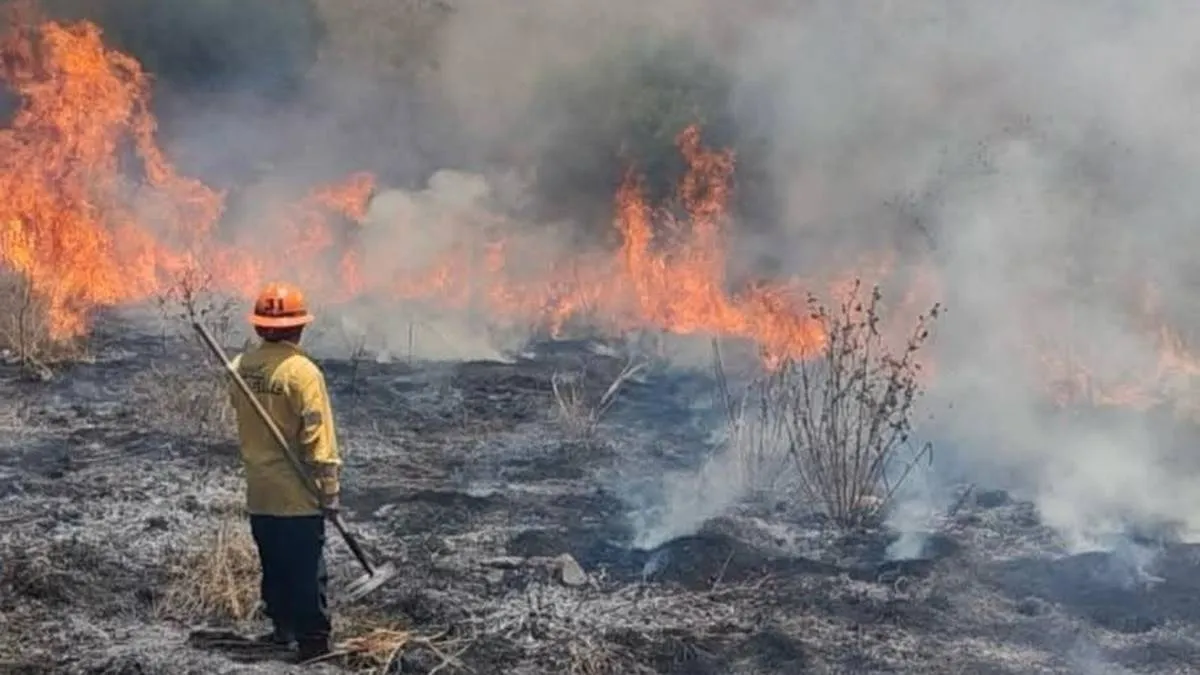 Bomberos de Tlalnepantla sofocan incendio en la Sierra de Guadalupe