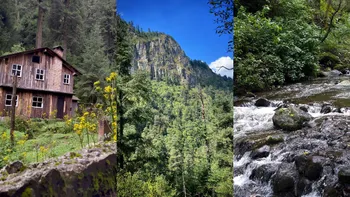 Explora la cascada oculta en Los Dinamos, un rincón natural al que puedes llegar en Metro sin salir de la CDMX.