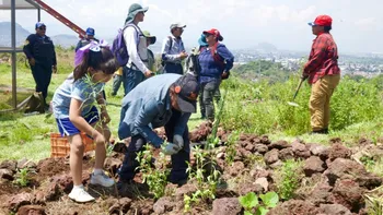 Jornada Nacional de Reforestación: Sheinbaum encabezará la siembra de más de 6.6 millones de árboles en los 32 estados del país.