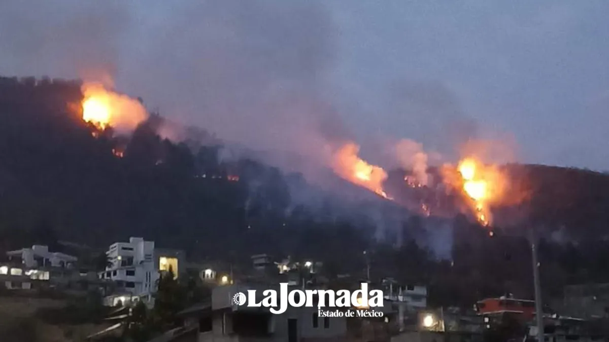 Cinco municipios concentran el 33 por ciento de incendios forestales en 2024