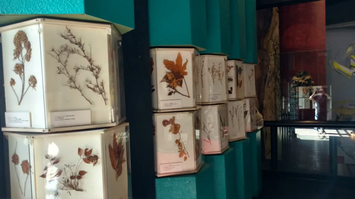 Más que un museo en Malinalco, es la antigua casa del Dr. Luis Mario Schneider