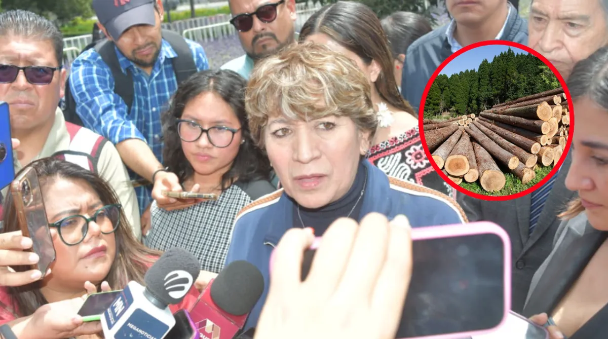 Suman a mesas contra la tala a jefes supremos y piden a ciudadanía apoyar