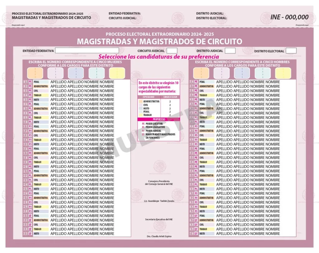 ¿Cómo votar boleta por boleta para Elección Judicial en Edomex?
