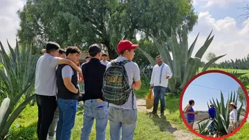 Pulque contra la presión inmobiliaria: Tepotzotlán defiende su tierra y su tradición