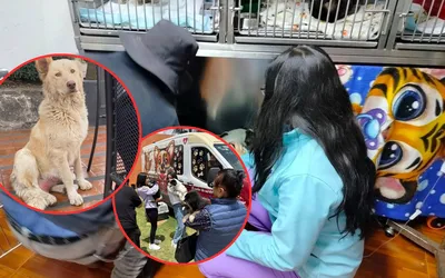 De perrita callejera a historia de rescate, así salvaron a “Mantequilla” en la UAEMéx.