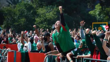 Afición Mexicana