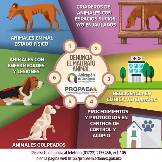 Propaem ha atendido 613 denuncias por maltrato animal