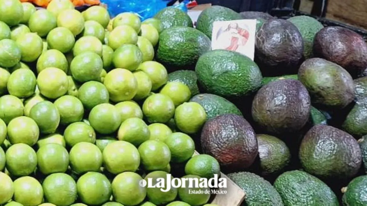 Toluca: Volatilidad en precios de frutas y verduras por condiciones climáticas